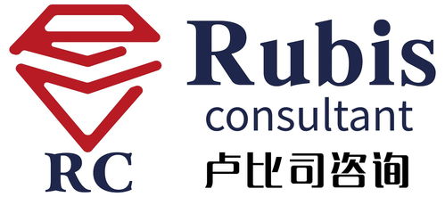 上海盧比司企業(yè)管理咨詢 專(zhuān)業(yè)賦能企業(yè)成長(zhǎng)，解鎖管理新高度